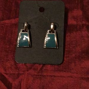 Earrings NWOT